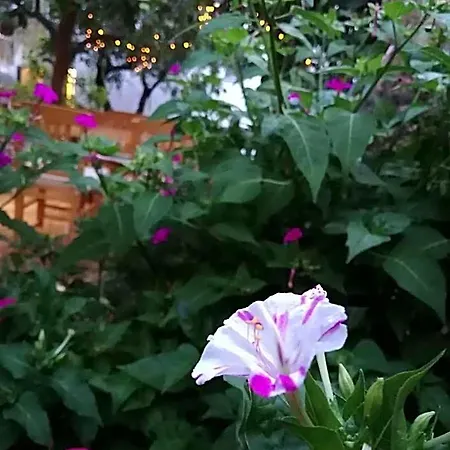 L'onda Bodrum Hotel